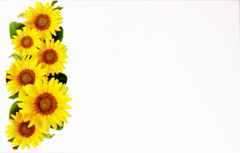 Picture of Florist Cards Small Sunflower x 50pcs